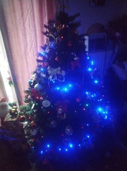 Παράδοση Χριστουγεννιάτικου δέντρου σε μια 4μελή οικογένεια